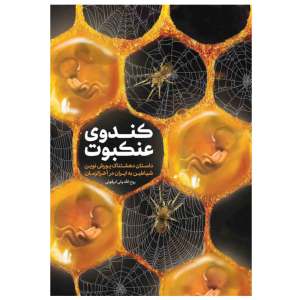 خرید کتاب کندوی عنکبوت اثر روح الله ولی ابرقوئی انتشارات مشهور