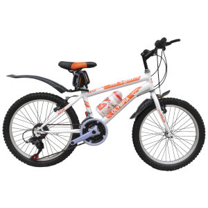قیمت دوچرخه کوهستان المپیا مدل summer 020 سایز 20