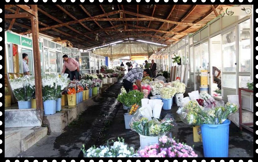 بازار گل خاوران (امام رضا)