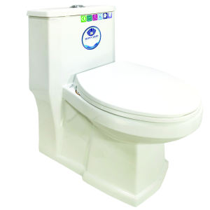 خرید توالت فرنگی مروارید مدل رومینا