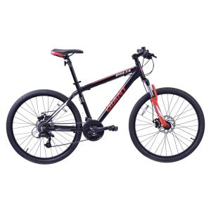 قیمت دوچرخه کوهستان جاینت مدل OYEA 2022 R سايز 26